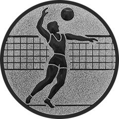 9200.238 Volleyball Herren Emblem | 50 mm Ø