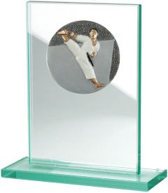 W511.005 Karate - Taekwondo Glastrophäe inkl. Beschriftung | 100x150 mm