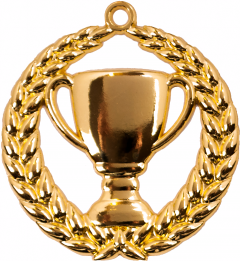 A9306.SM Pokal-Medaille Erlangen 70 mm Ø inkl. Band / Kordel | unmontiert