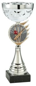 ET.408.019 Cricket Pokal Regensburg inkl. Beschriftung | Serie 5 Stck.