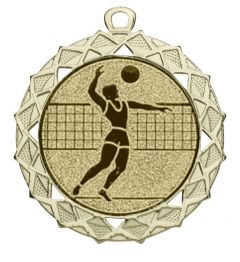 DI7003.238 Volleyball Medaille 70 mm Ø inkl. Band / Kordel | montiert