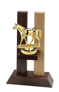 H330.046 Reitsport - Pferde Holz-Pokal Baden | 3 Größen