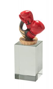 W400.016 Boxsport - Boxer Kristall-Glaspokal inkl. Beschriftung | 3 Größen