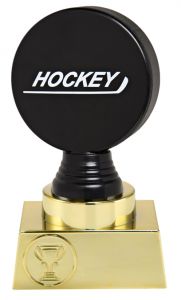N30.01.508M Eishockey Pokale Düsseldorf | 3 Größen